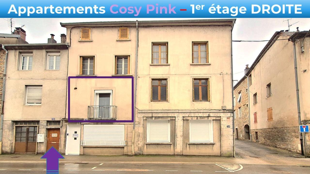 Appartement Cosy Pink Salins Les Bains Salins-les-Bains Exterior photo